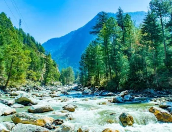 kasol_11zon