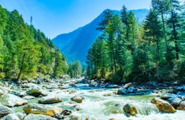 kasol_11zon